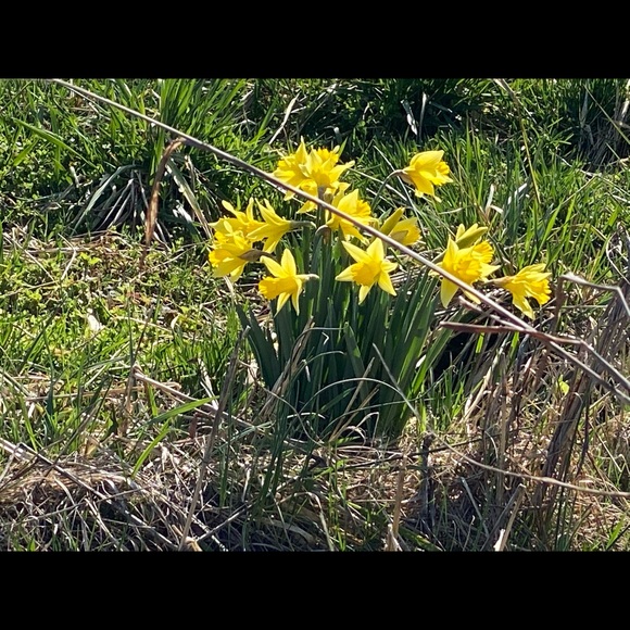 Meet your Posher, Mariana - Picture 1 of 1